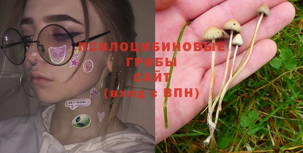 2c-b Алексин