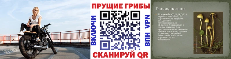 Галлюциногенные грибы мицелий  цены   hydra ссылка  Саянск 